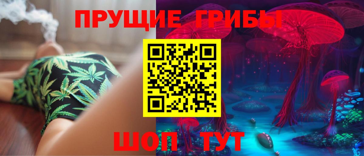 Псилоцибиновые грибы GOLDEN TEACHER Благовещенск